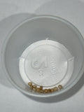 Antheraea Mylitta eggs